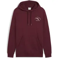 Puma Class Graphic Huppari