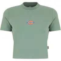 Dickies Maple Valley Lyhythihainen T-paita