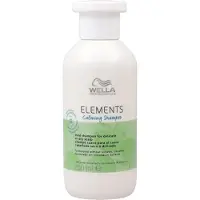 Big Buy Cooking – RAUHATTAVA SHAMPOO ELEMENTIT 250 ML