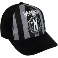 Wednesday Huippulaadukas Lippalakki, Teen