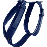 Kentucky Active Velvet Koiran Valjaat
