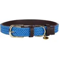 Kentucky Nylon Plaited Koiranpanta