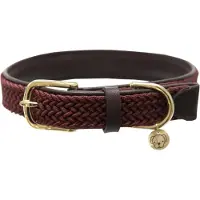 Kentucky Nylon Plaited Koiranpanta