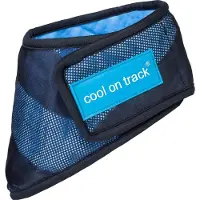 Back on track Cool on Track koiran viilennyshuivi