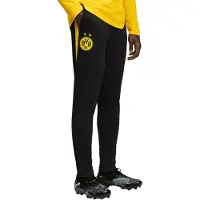 Puma Bvb Borussia Dortmund 25/26 Koulutus Housut