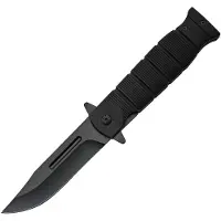 Rite Edge Linerlock A/O Black