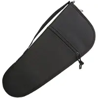 Carry All Pistol Case 16"
