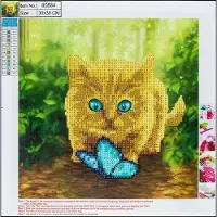 Centrum Diamond Painting 30*30cm. CAT