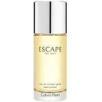 Calvin Klein Escape for Men Eau de Toilette 100 ml
