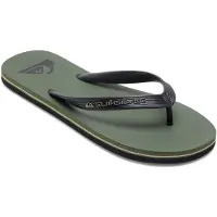 Quiksilver Molokai Core Sandaalit
