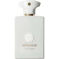 Amouage Decision Man, EdP 100ml