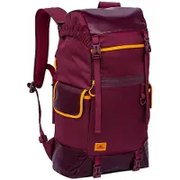 Rivacase 5361RED, Reppu, 43,9 cm (17.3"), Olkahihna, 980 g (5361 BURGUNDY RED)