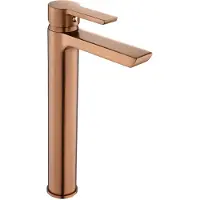 REA ARGUS Pesuallashana ARGUS COPPER BRUSH High