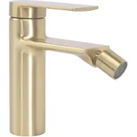 REA Storm Brush Gold bideehana
