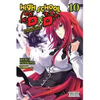 Little, Brown and Company High School DxD, Vol. 10 (light novel)