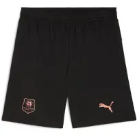 Puma Stade Rennais Fc 25/26 Shorts Men, koko Medium