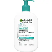Garnier PureActive Salicylic Purifying Gentle Cleanser For Impure Sk