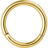 Wildcat Hinged Segment Ring - kullanvärinen lävistysrengas (teräs)