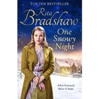 One Snowy Night