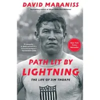 Path Lit by Lightning