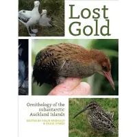 Lost Gold