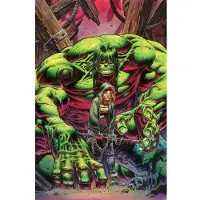 Marvel Comics Incredible Hulk Vol. 4: City of Idols