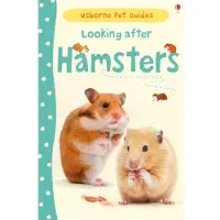 Usborne Looking after Hamsters