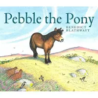 Benedict Blathwayt Pebble the Pony