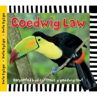 Rily Publications Ltd Cyfres Dwlu Dysgu: Coedwig Law