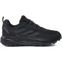Adidas Terrex Anylander Vaelluskengät