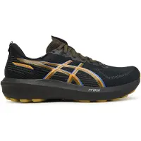 Asics Gt-1000 14 Gore-tex Juoksukengät