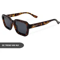 Dutch'd Aurinkolasit 'Dawn' ruskea