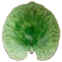 Costa Nova Bladfad Alchemille - Green - 17.6X 17CM