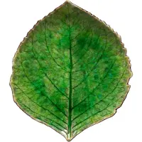 Costa Nova Riviera Hydrangea tarjoiluvati Tomaatti, 17 cm