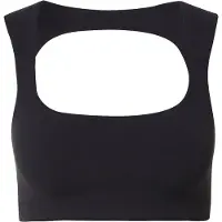 Nike Urheilurintaliivit 'ZENVY' antrasiitti / musta