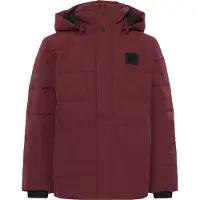 Didriksons Kids' Silikat Jacket Anemon Red Lämminvuoratut takit 140