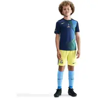 Nike Tottenham Treenipaita Dri-fit Academy Pro Pre Match 3. - Sininen/keltainen Lapset - , koko L: 147-158 cm