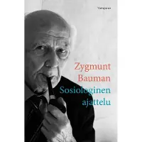 Vastapaino Bauman, Sosiologinen ajattelu