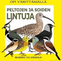 Peltojen ja soiden lintuja
