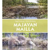 Forsberg, Majavan mailla