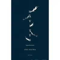 Rauma, Hävitys - Tapauskertomus