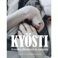 Holmavuo, Kyösti - Asioita elämästä ja surusta