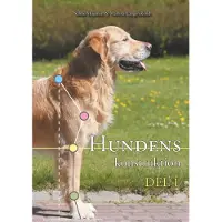 Mujunen, Hundens konstruktion - Del 1
