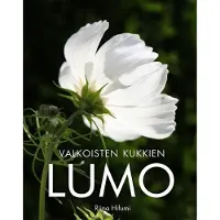 Valkoisten kukkien lumo
