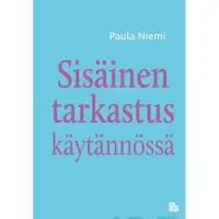 Niemi, Sisäinen tarkastus käytännössä
