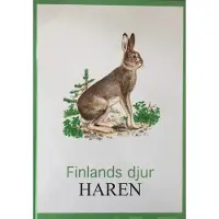 Leppäniemi, Haren