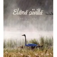 Luumi, Elämä siivillä