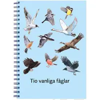 Vahlberg, Tio vanliga fåglar, fakta- och arbetsbok