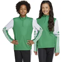 Adidas Urheilullinen collegepaita 'Squadra 25' vihreä / valkoinen