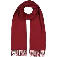 Gant for man. 9920203 Red woollen scarf (OSFA), Casual